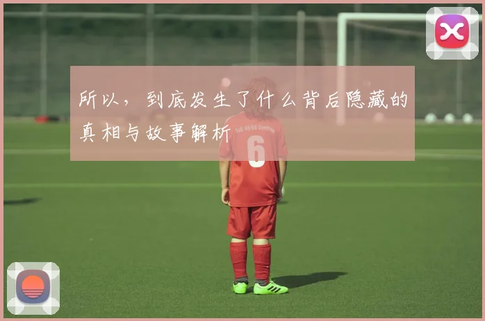 所以，到底发生了什么背后隐藏的真相与故事解析