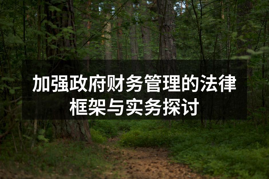加强政府财务管理的法律框架与实务探讨