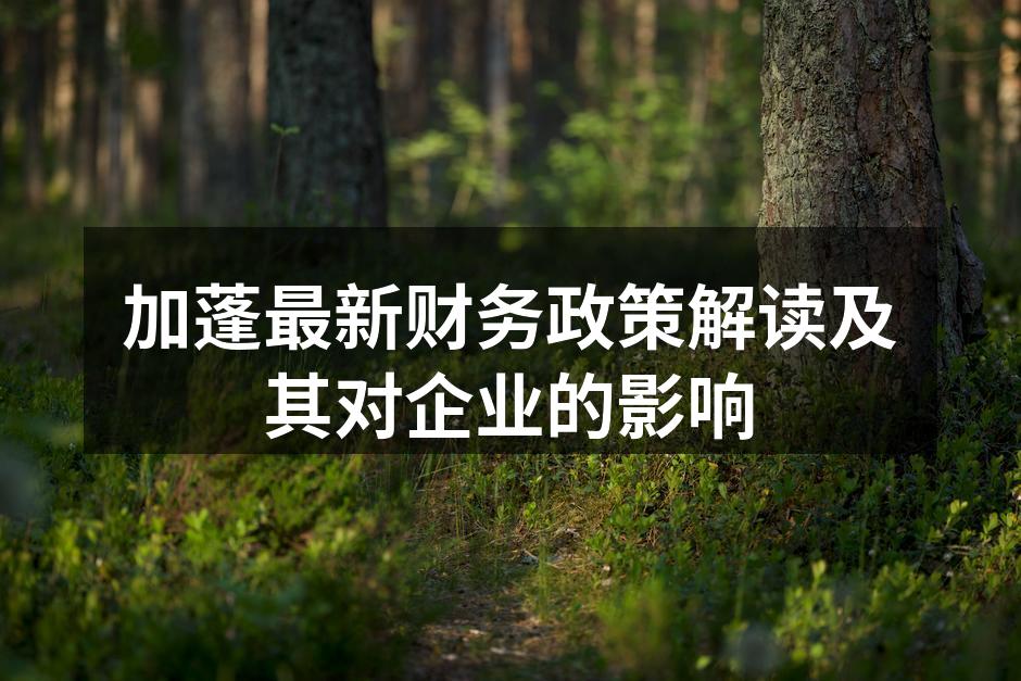 加蓬最新财务政策解读及其对企业的影响